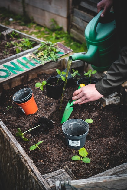 Landscaping Ideas for Every Home