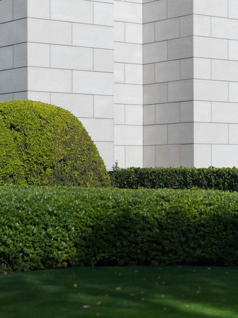 Essential Mulching Tips for Your Garden